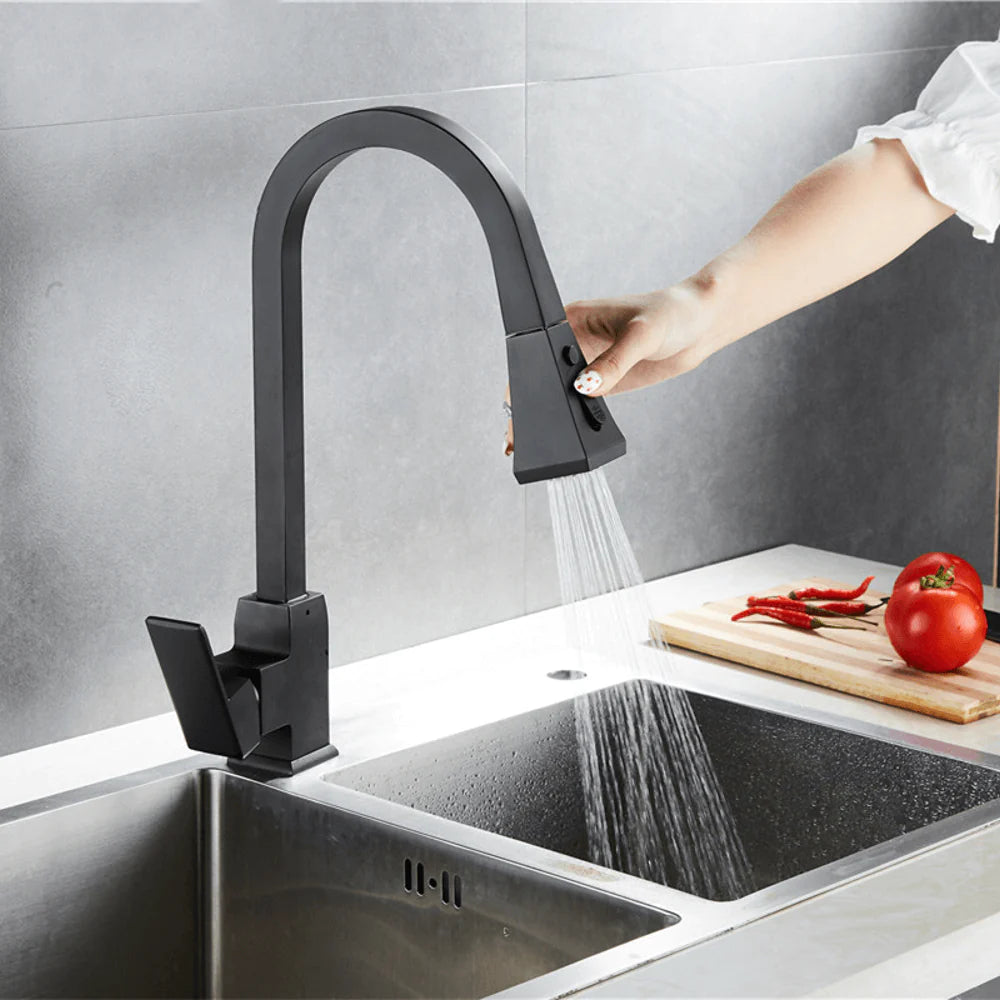 Contemporary Kitchen selling Faucet w Pull Down Spray