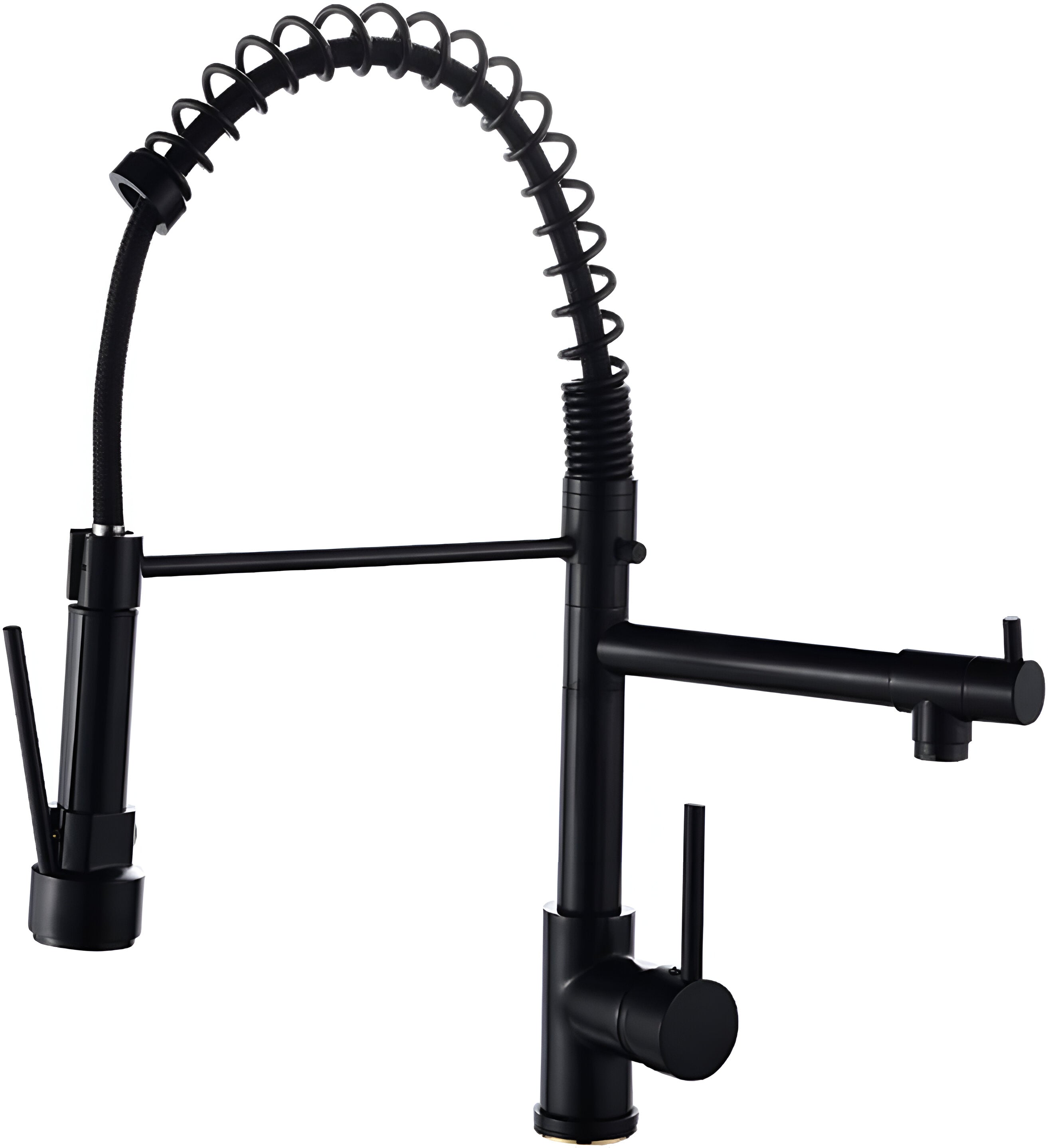 Pull-Down Kitchen Faucet in Black