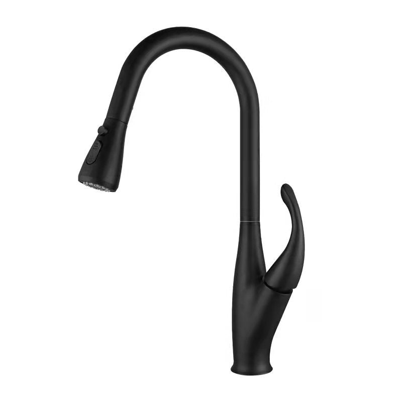 halden black kitchen faucet